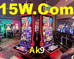 Ak9 App Interface