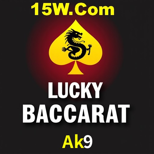 Ak9 Brasília - VIP Program